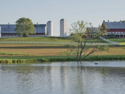 pond with barns and pastureland in background